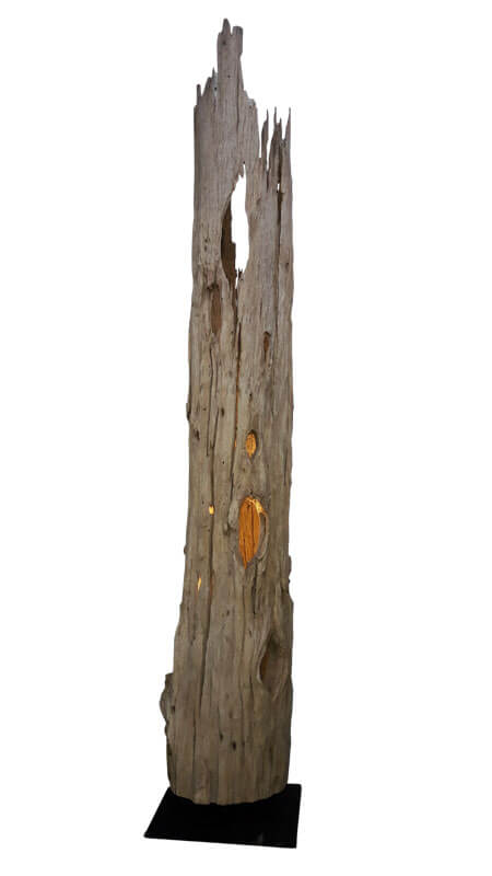 Machtiger Verwitterter Baumstamm Uber 2m Hoch Unikate